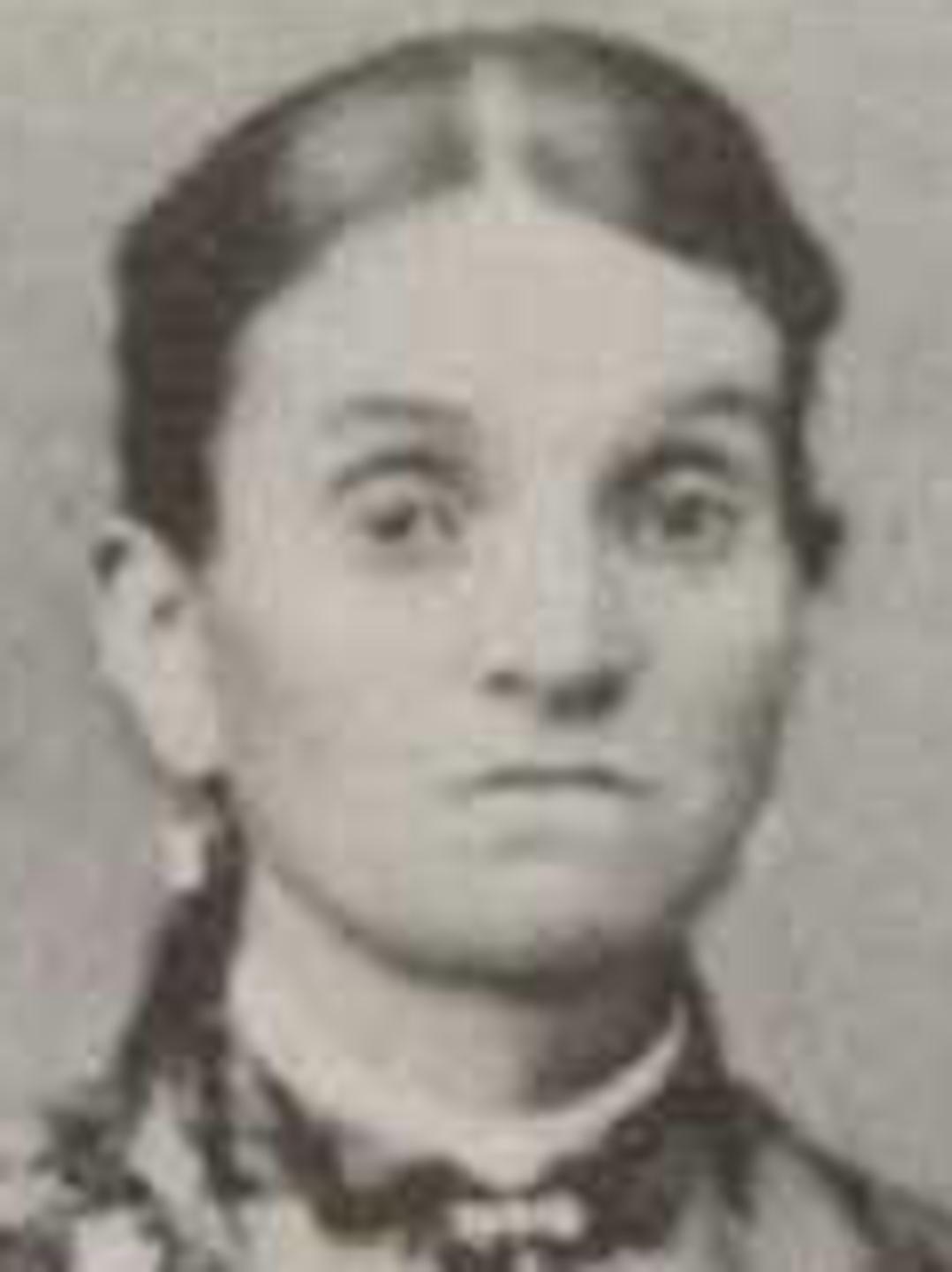 Fanny Mariah Ellis (1849 - 1894) Profile